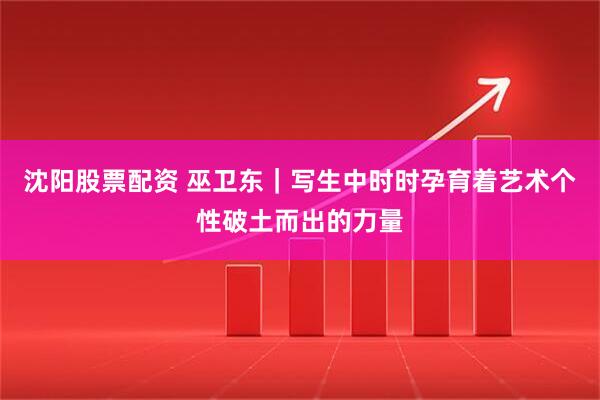 沈阳股票配资 巫卫东｜写生中时时孕育着艺术个性破土而出的力量