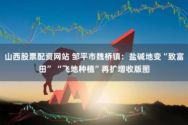 山西股票配资网站 邹平市魏桥镇：盐碱地变“致富田” “飞地种植”再扩增收版图