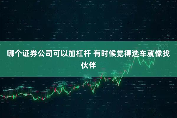 哪个证券公司可以加杠杆 有时候觉得选车就像找伙伴